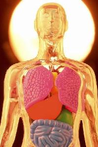 原發性高血壓病