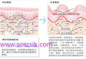 細胞整形 細胞整形