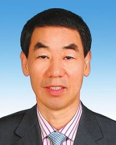 王鐵[河南省人大常委會黨組副書記、副主任]