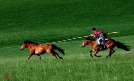 蒙古草原習俗 蒙古草原習俗