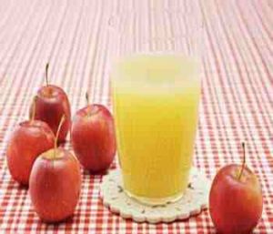蘋果哈密瓜乳酸汁 蘋果哈密瓜乳酸汁