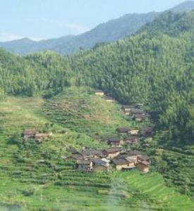 小對門自然村 小對門自然村