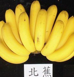 北蕉 北蕉