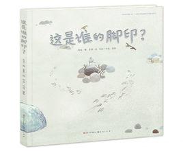 這是誰的腳印? 這是誰的腳印?