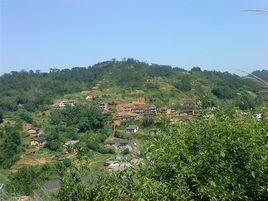 湴田村[廣西貴港市港北區根竹鎮下轄村]