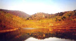 馬家埠鎮 馬家埠鎮