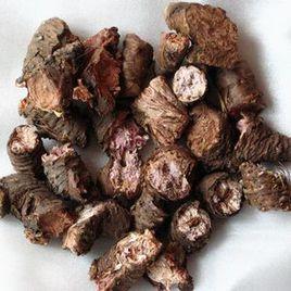 小花紅景天 小花紅景天