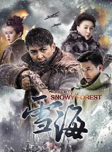 雪海[2015年金沙執導電視劇]