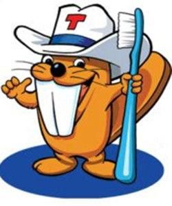 巴斯刷牙法 巴斯刷牙法