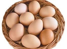 公主屯雞蛋 公主屯雞蛋