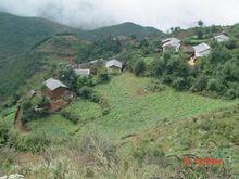 白雲村[雲南省昭通永善縣伍寨鄉白雲村委會]