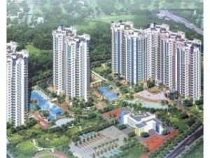 順意花園 順意花園