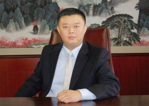 王靖[信威通信產業集團董事長]