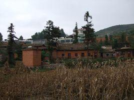 水坪村[海岱鎮水坪村]