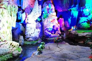 上海游龍石文化科普館 上海游龍石文化科普館