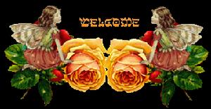 網路同傳 網路同傳