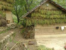 王家營村[雲南巧家縣小河鎮下轄村]