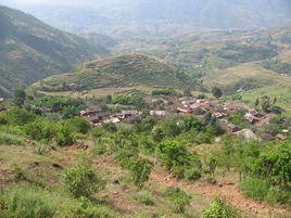 新河村委會 新河村委會