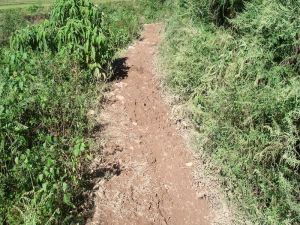 大咱咧自然村 大咱咧自然村