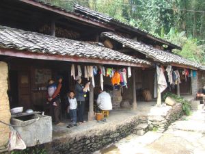 蝙蝠自然村 蝙蝠自然村