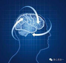 內在表征 內在表征