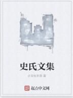史氏文集 史氏文集