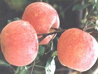 半壁山鎮 半壁山鎮