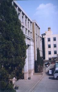 病毒病預防控制所