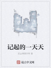 記起的一天天 記起的一天天