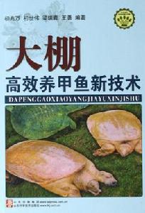 大棚高效養甲魚新技術