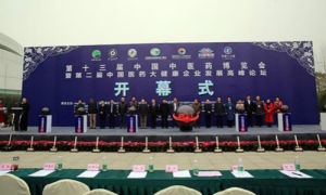 中國中藥博覽會 中國中藥博覽會