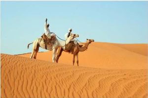 努比亞沙漠 努比亞沙漠