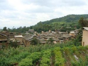 大矣那味村 大矣那味村