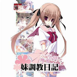 妹調教日記