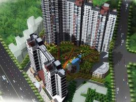 聚龍花園 聚龍花園