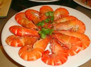 小籠斑節蝦 小籠斑節蝦