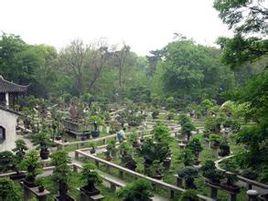 蘇州虎丘山莊 蘇州虎丘山莊