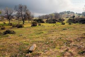 方山果村 方山果村