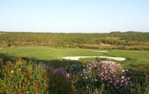 金陽莊園高爾夫球會 金陽莊園高爾夫球會