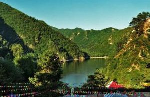 青海孟達國家級自然保護區