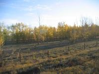 牙林鐵路 牙林鐵路