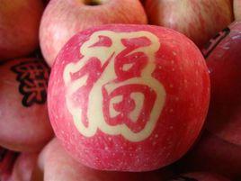 貼字蘋果 貼字蘋果