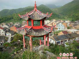 龍王村[安徽省安慶市宿松縣隘口鄉龍王村]