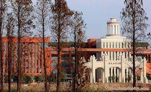 中山大學順德研究院