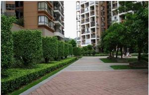 翰嶺院 - 實景圖