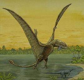 雙型齒翼龍 雙型齒翼龍