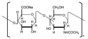 透明質酸粘素 透明質酸粘素