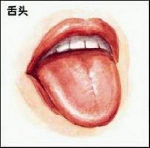 舌頭