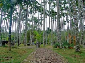 七仙嶺溫泉旅遊區