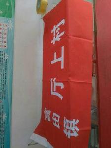 廳上村[江西省吉安市青原區廳上村]